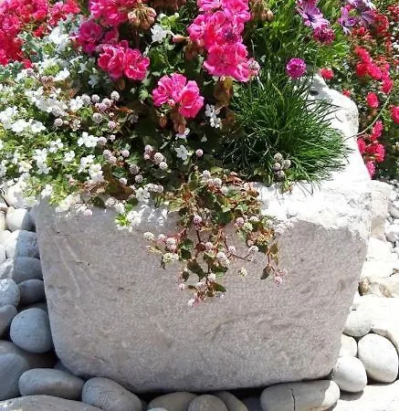 Manzoni Punat