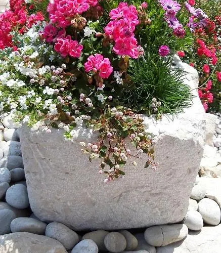 Manzoni Punat