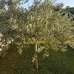 Manzoni דירה