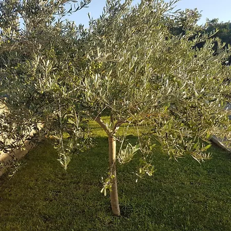 Manzoni Apartman